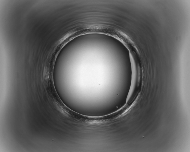 X0000087611017200704271337