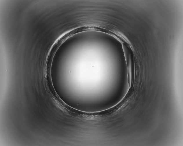X0000087611020200704271337