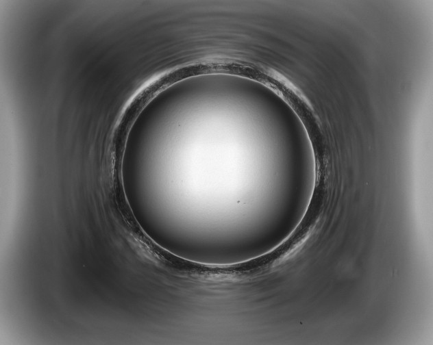 X0000087611021200704271337