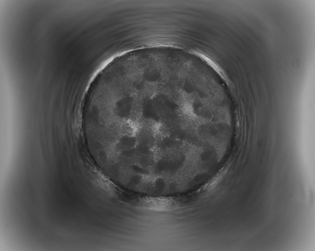 X0000087611023200704271337