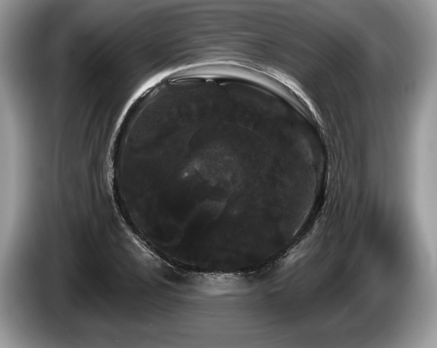 X0000087611024200704271337