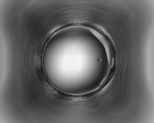 X0000087611025200704271337