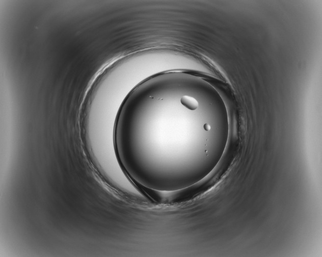 X0000087611026200704271337