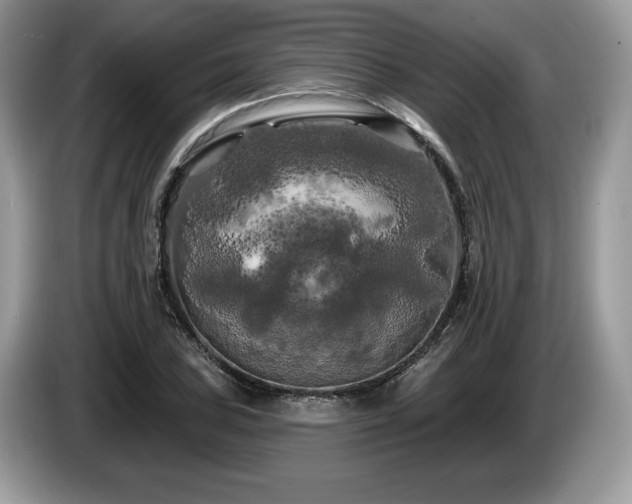 X0000087611027200704271337