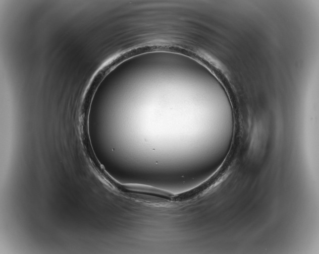 X0000087611029200704271337