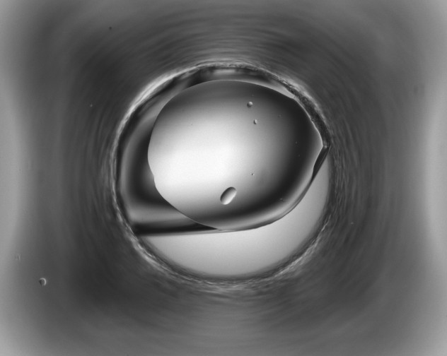 X0000087611030200704271337