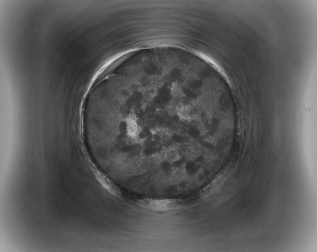 X0000087611031200704271337