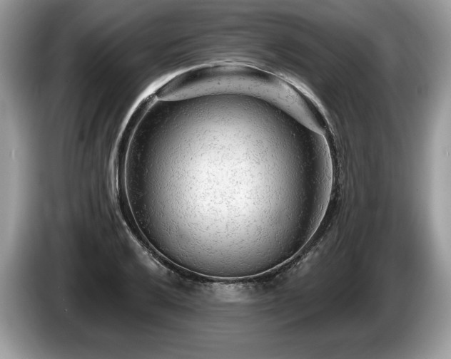 X0000087611032200704271337