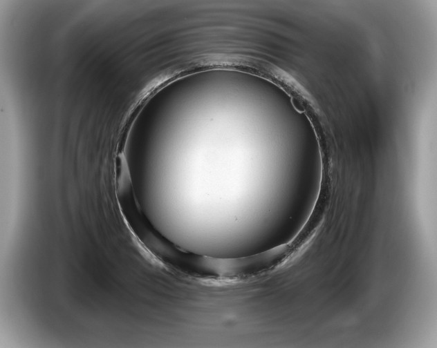X0000087611033200704271337
