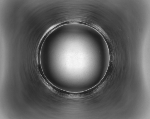 X0000087611036200704271337