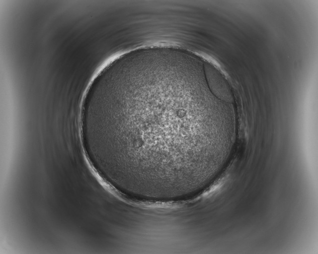 X0000087611038200704271337