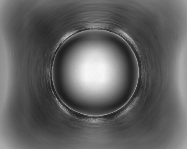 X0000087611041200704271337