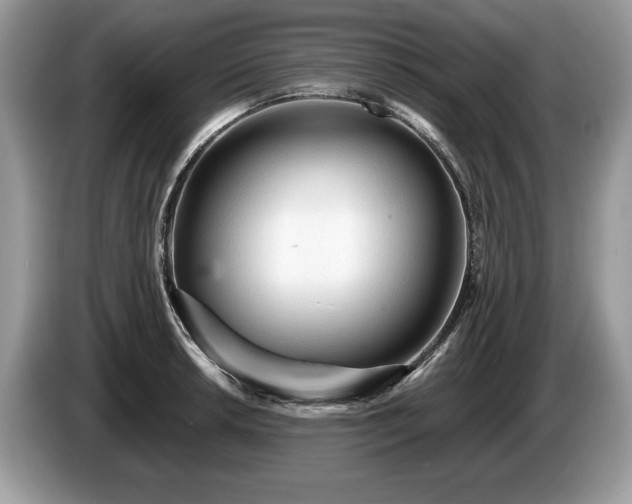 X0000087611042200704271337