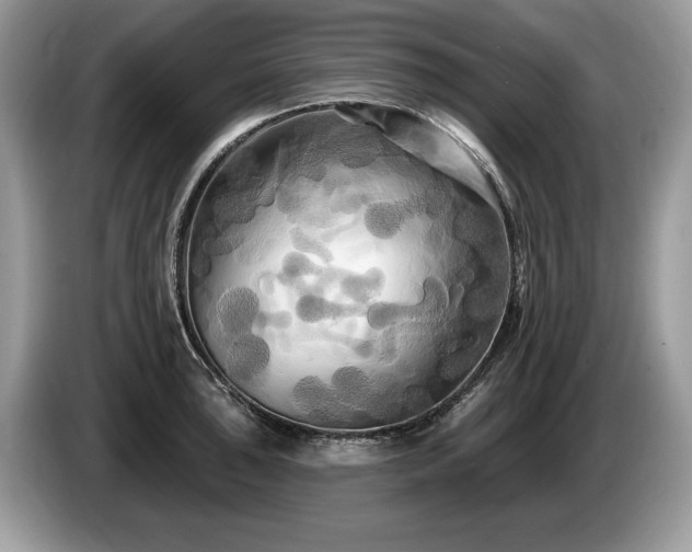 X0000087611043200704271337