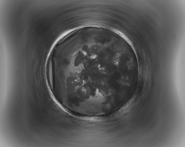 X0000087611045200704271337