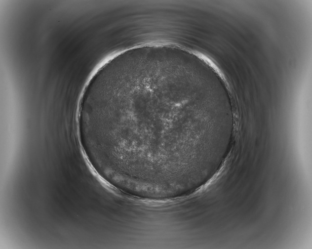 X0000087611046200704271337