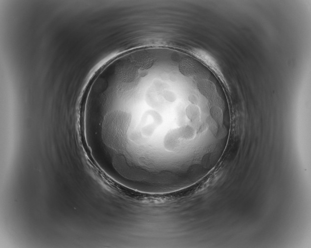 X0000087611051200704271337