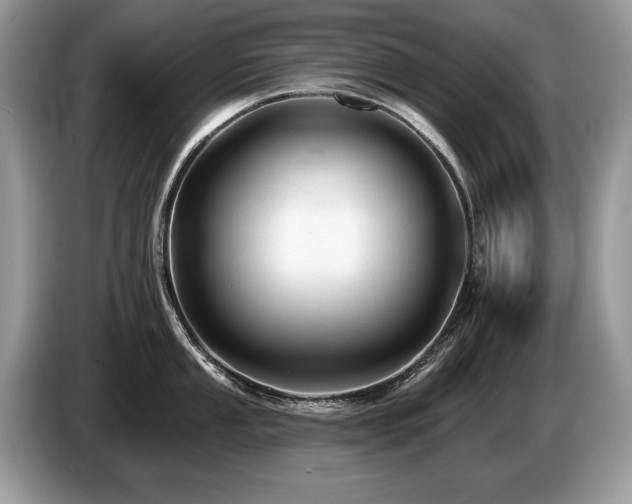 X0000087611053200704271337