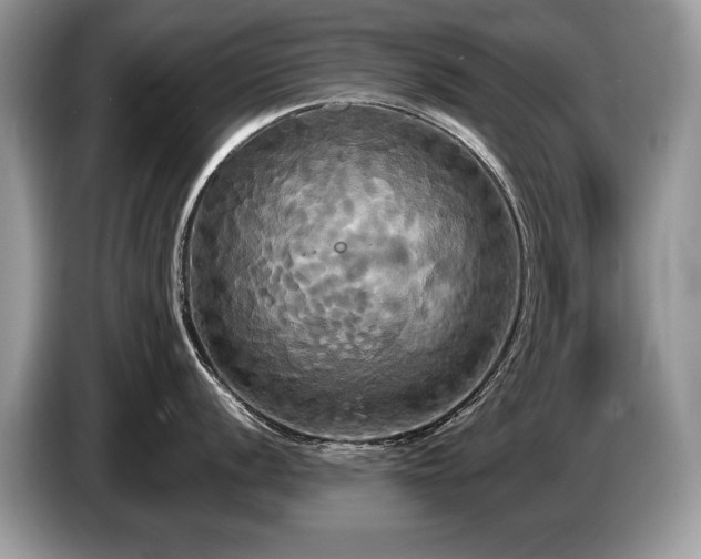 X0000087611056200704271337