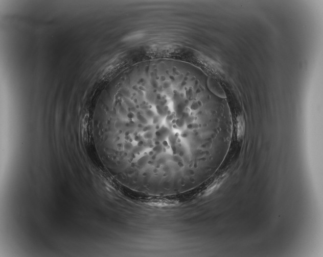 X0000087611059200704271337