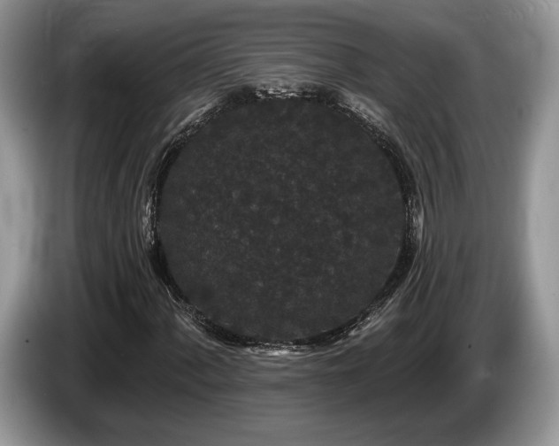 X0000087611060200704271337