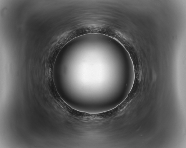 X0000087611061200704271336
