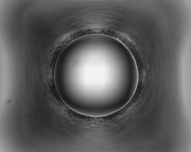 X0000087611062200704271336