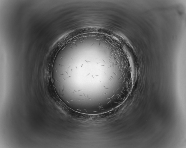 X0000087611064200704271336