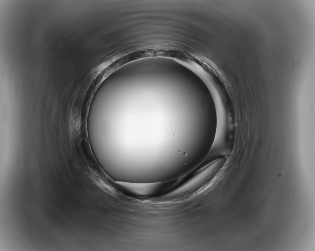 X0000087611065200704271336