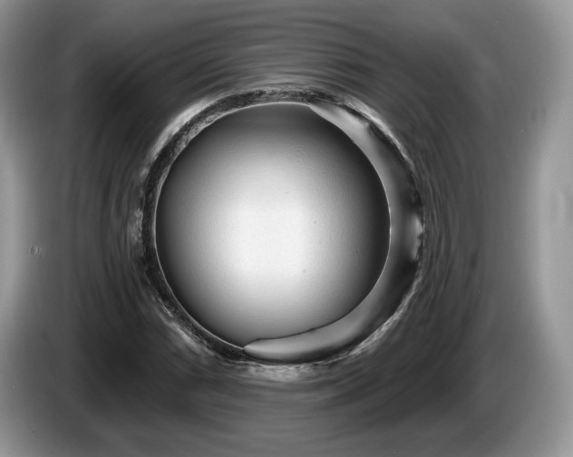 X0000087611066200704271336
