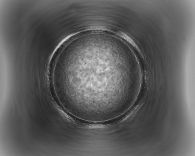 X0000087611068200704271336