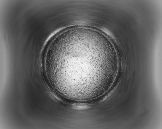 X0000087611070200704271336