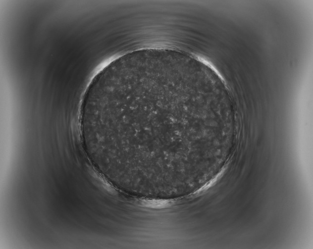 X0000087611071200704271336