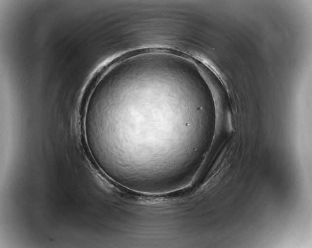 X0000087611072200704271336