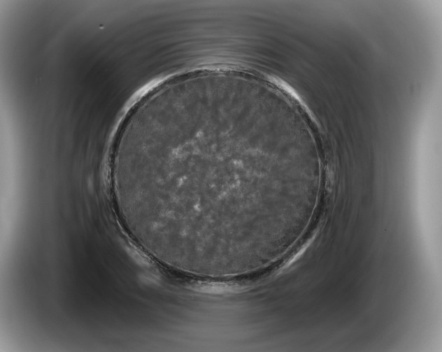 X0000087611074200704271336