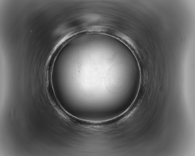 X0000087611075200704271336