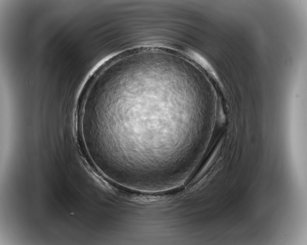 X0000087611076200704271336