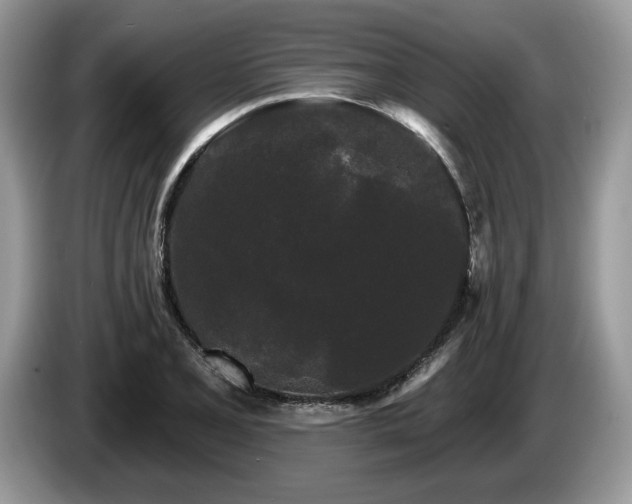 X0000087611077200704271336