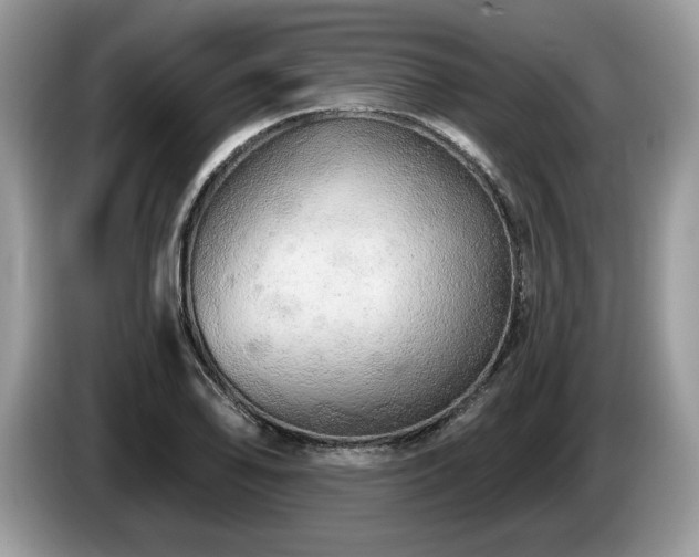 X0000087611078200704271336