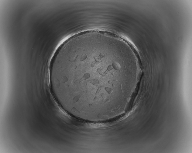 X0000087611079200704271336