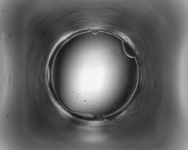 X0000087611080200704271336
