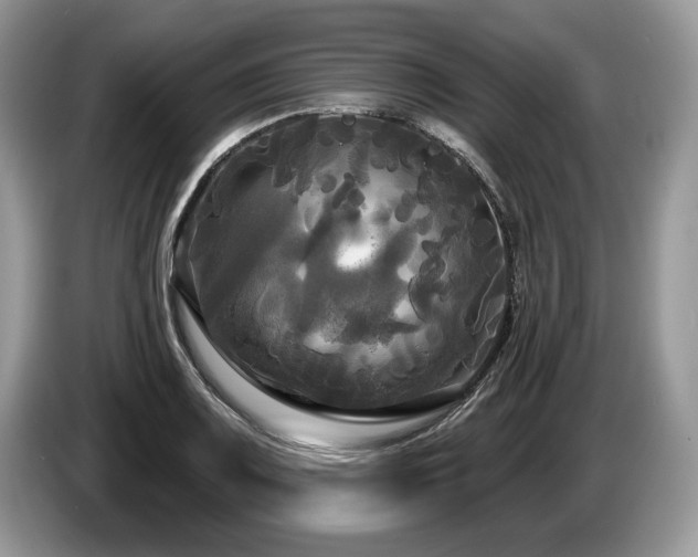 X0000087611083200704271336