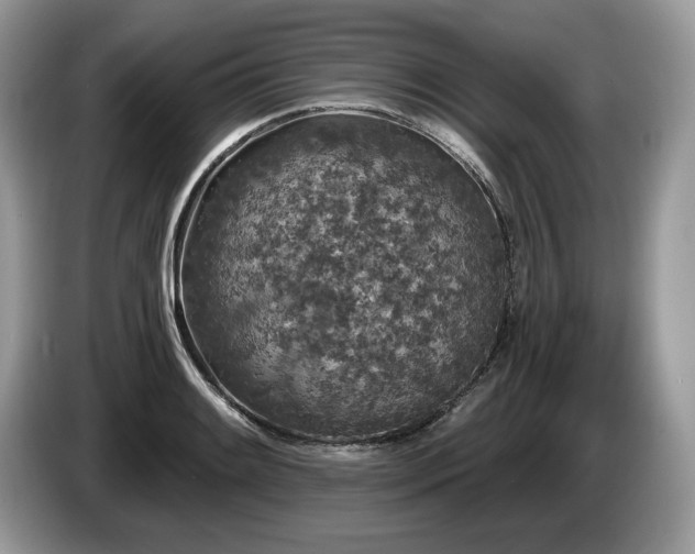 X0000087611084200704271336
