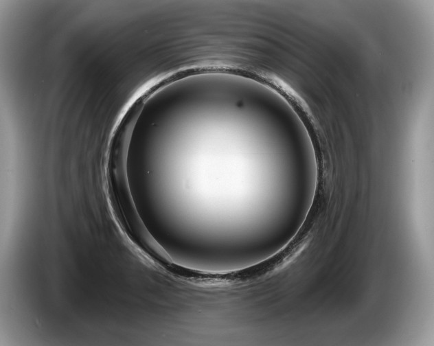 X0000087611085200704271336