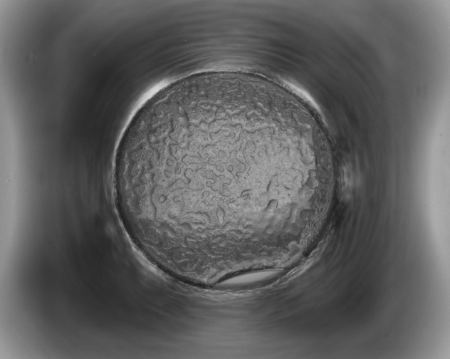 X0000087611087200704271336