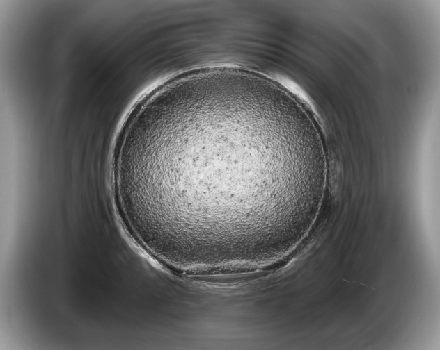 X0000087611088200704271336