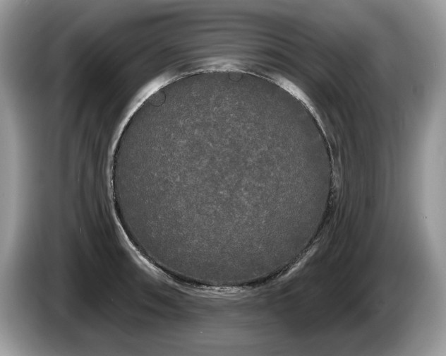 X0000087611090200704271336
