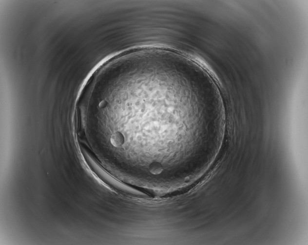 X0000087611092200704271336