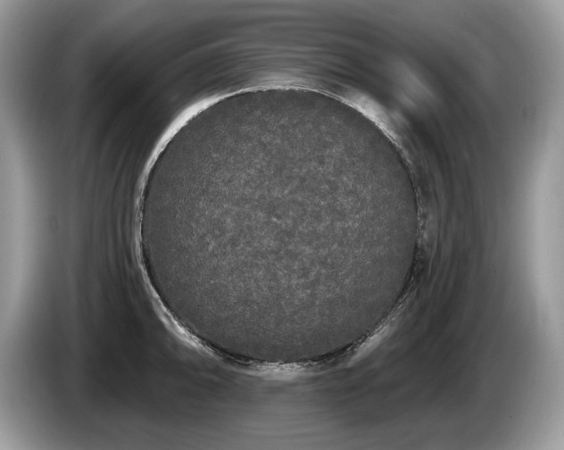 X0000087611094200704271336