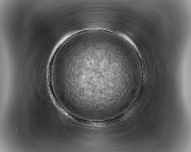 X0000087611096200704271336